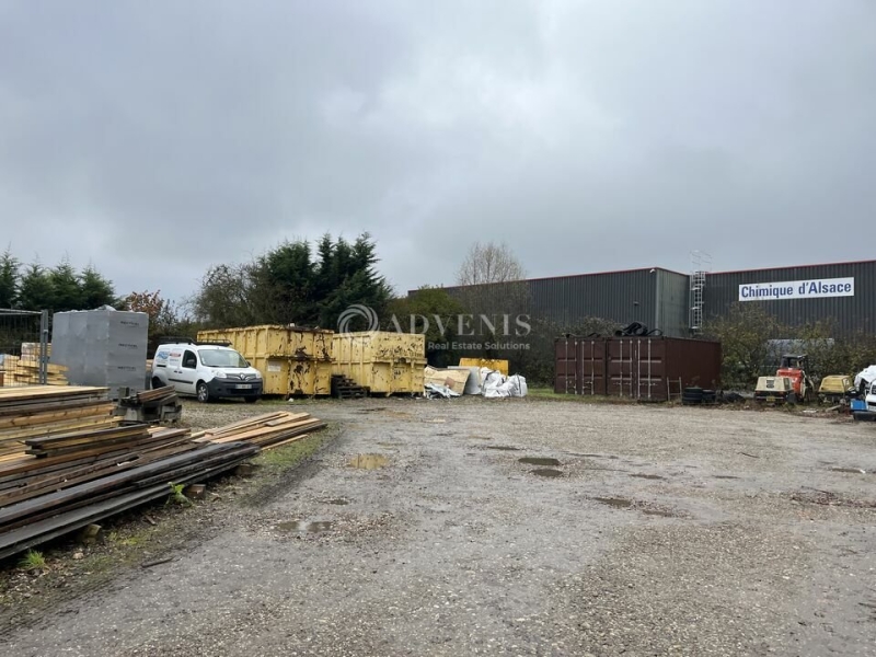 Location Activités Entrepôts REICHSTETT (67116) - Photo 10