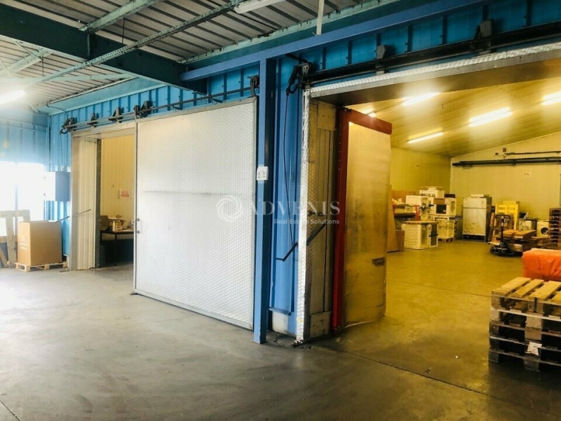 Location Activités Entrepôts HOERDT (67720) - Photo 2