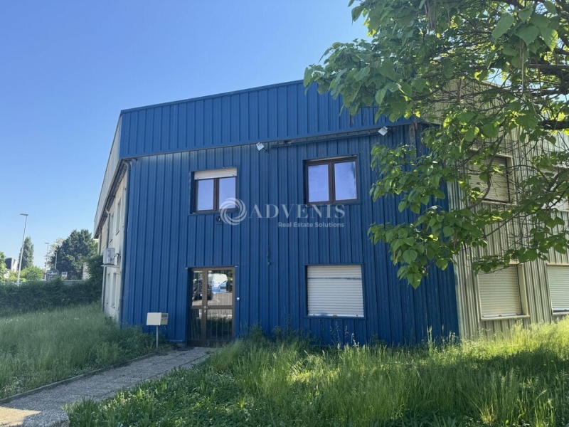 Location Activités Entrepôts ECKBOLSHEIM (67201) - Photo 2