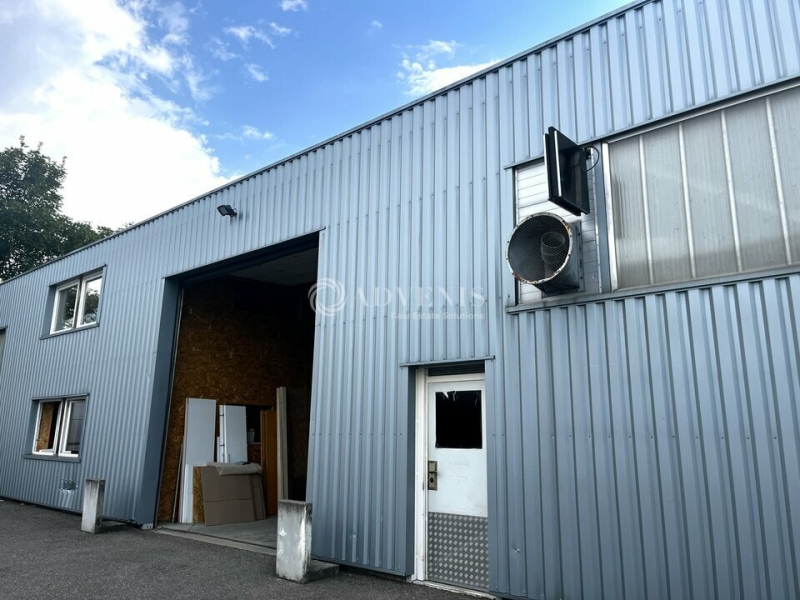 Vente Investisseur Activités Entrepôts HOENHEIM (67800) - Photo 1