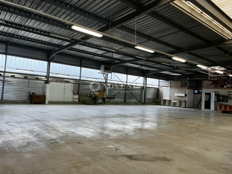 Vente Investisseur Activités Entrepôts HOENHEIM (67800) - Photo 4