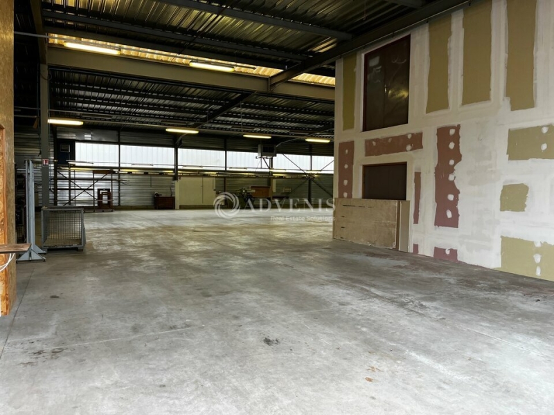 Vente Investisseur Activités Entrepôts HOENHEIM (67800) - Photo 5