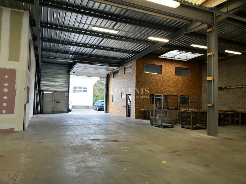 Vente Investisseur Activités Entrepôts HOENHEIM (67800) - Photo 6