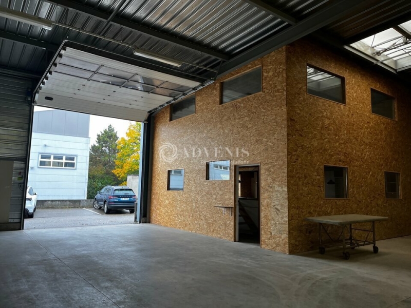 Vente Investisseur Activités Entrepôts HOENHEIM (67800) - Photo 7