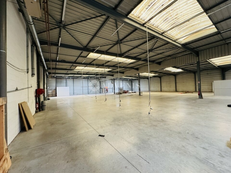 Location Activités Entrepôts ILLKIRCH GRAFFENSTADEN (67400) - Photo 10