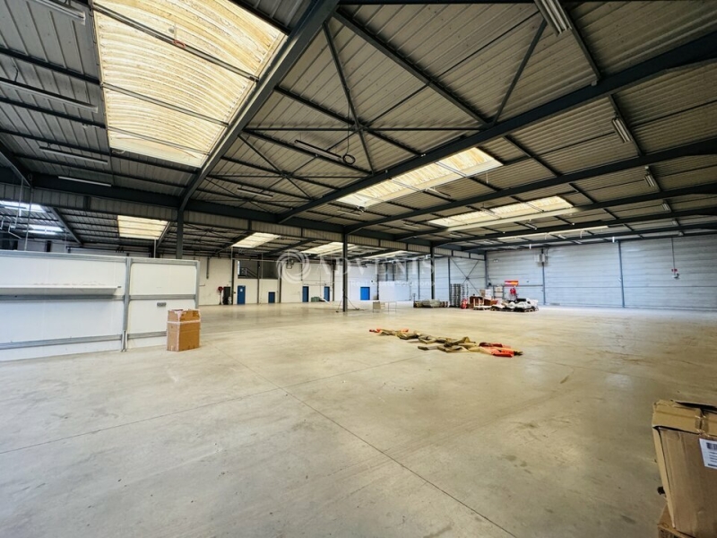 Location Activités Entrepôts ILLKIRCH GRAFFENSTADEN (67400) - Photo 11