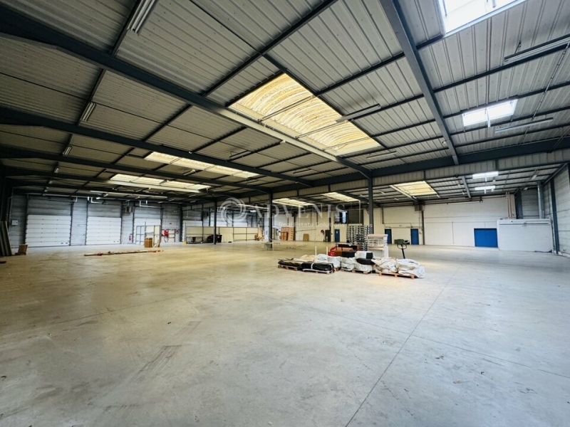 Location Activités Entrepôts ILLKIRCH GRAFFENSTADEN (67400) - Photo 12