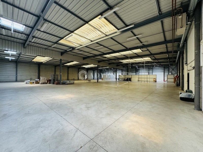 Location Activités Entrepôts ILLKIRCH GRAFFENSTADEN (67400) - Photo 13