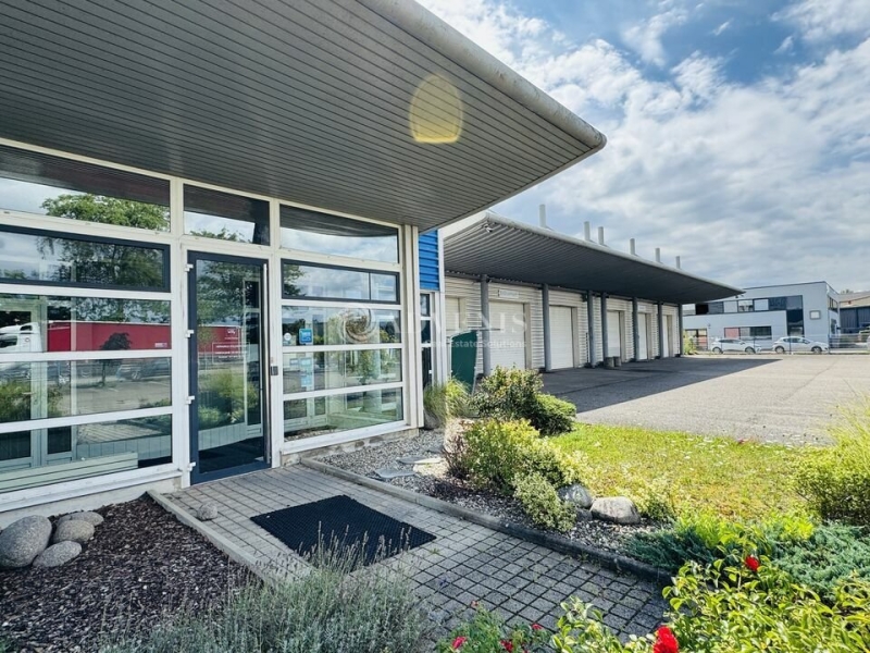 Location Activités Entrepôts ILLKIRCH GRAFFENSTADEN (67400) - Photo 3