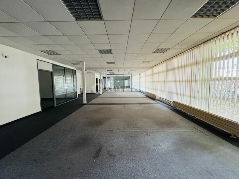 Location Activités Entrepôts ILLKIRCH GRAFFENSTADEN (67400) - Photo 8