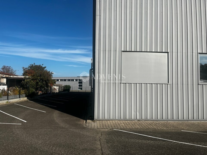 Location Activités Entrepôts ERNOLSHEIM BRUCHE (67120) - Photo 11