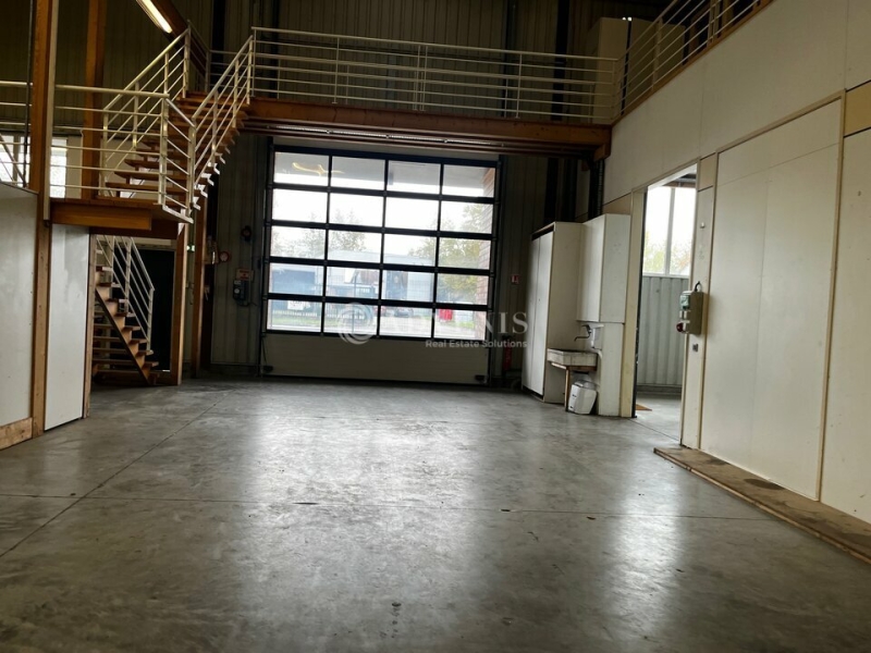 Location Activités Entrepôts ERNOLSHEIM BRUCHE (67120) - Photo 7