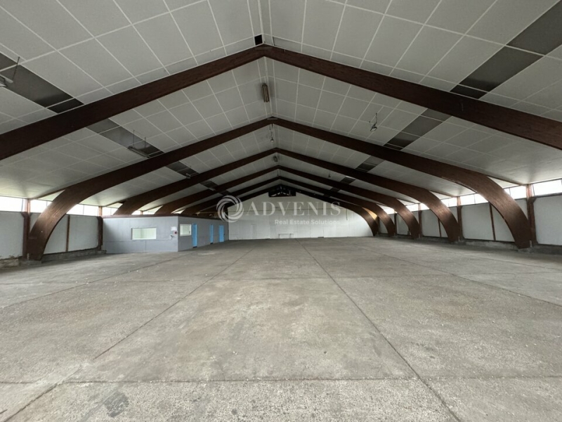Location Activités Entrepôts FEGERSHEIM (67640) - Photo 3