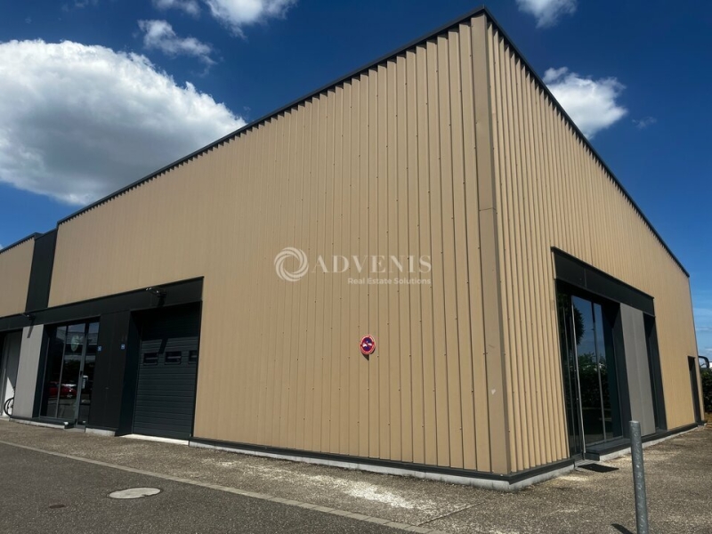 Location Activités Entrepôts STRASBOURG (67200) - Photo 5