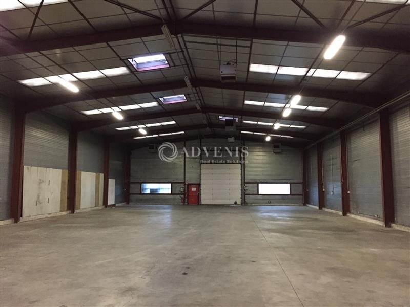 Location Activités Entrepôts HOERDT (67720) - Photo 3