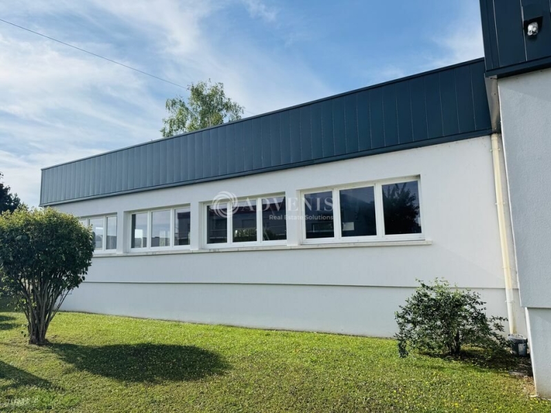 Location Activités Entrepôts WOLFISHEIM (67202) - Photo 3