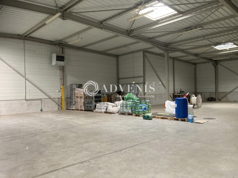 Location Activités Entrepôts SELESTAT (67600) - Photo 4