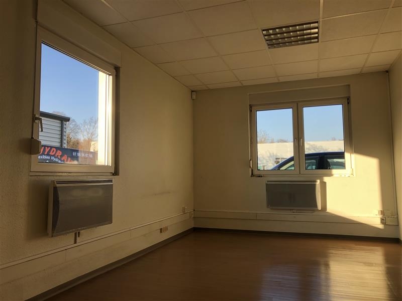 Location Activités Entrepôts GEISPOLSHEIM (67118) - Photo 6