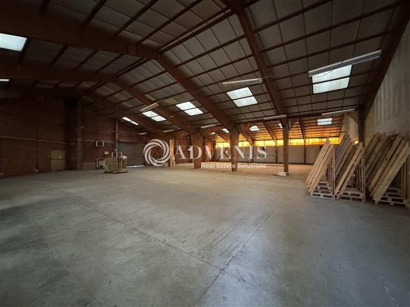 Location Activités Entrepôts HOERDT (67720) - Photo 6