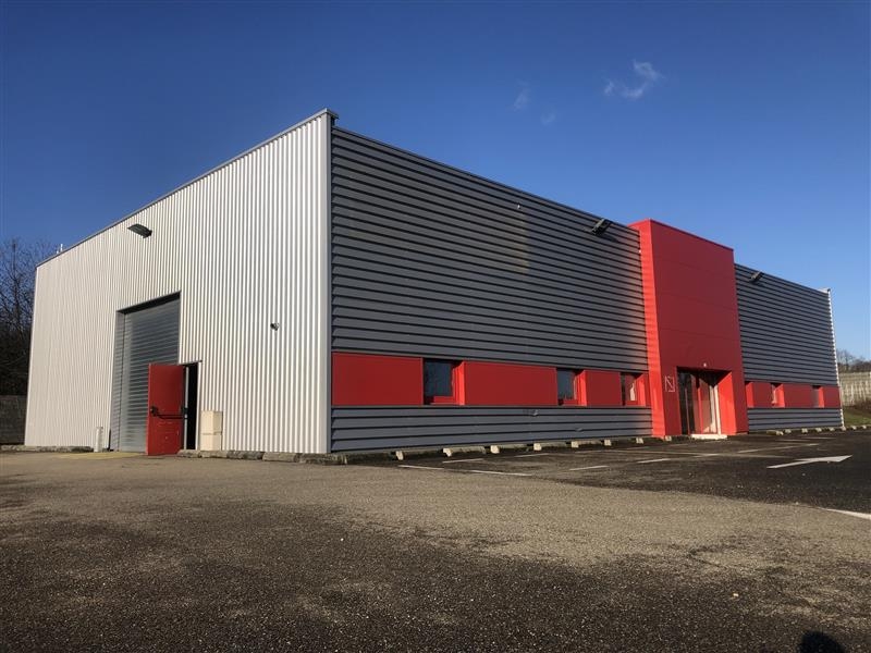 Location Activités Entrepôts OBERNAI (67210) - Photo 3