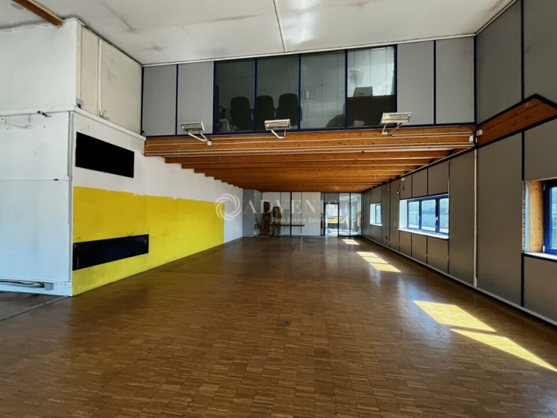 Location Entrepôts OSTWALD (67540) - Photo 6