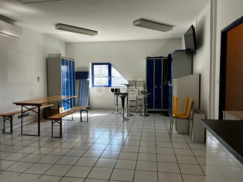 Location Entrepôts OSTWALD (67540) - Photo 8