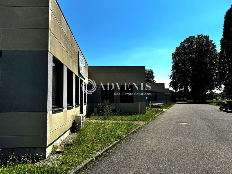 Vente Utilisateur Activités Entrepôts ILLKIRCH GRAFFENSTADEN (67400) - Photo 3