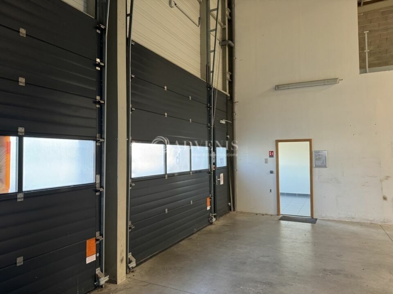 Location Activités Entrepôts BRUMATH (67170) - Photo 9