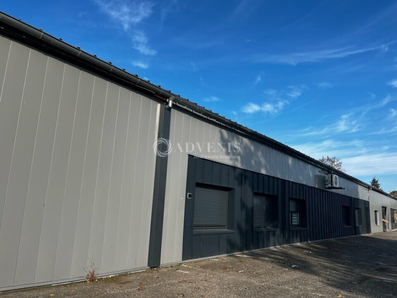 Vente Investisseur Activités Entrepôts DUTTLENHEIM (67120) - Photo 2