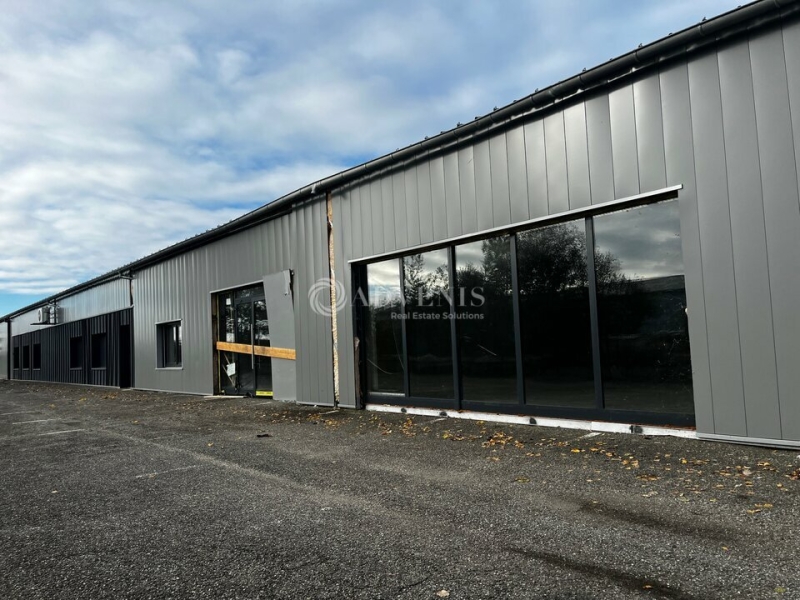 Vente Investisseur Activités Entrepôts DUTTLENHEIM (67120) - Photo 3