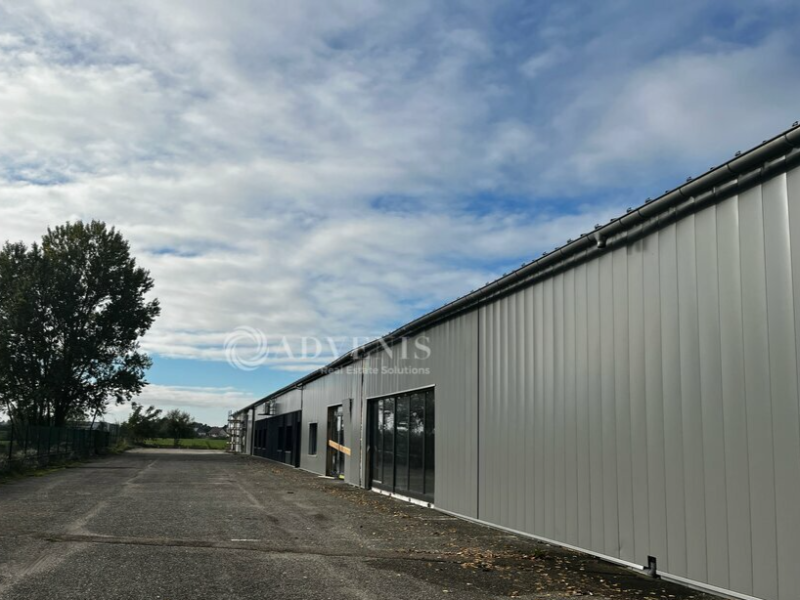 Vente Investisseur Activités Entrepôts DUTTLENHEIM (67120) - Photo 6