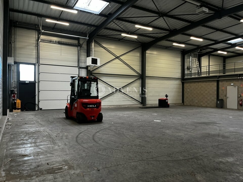 Location Activités Entrepôts WEYERSHEIM (67720) - Photo 13