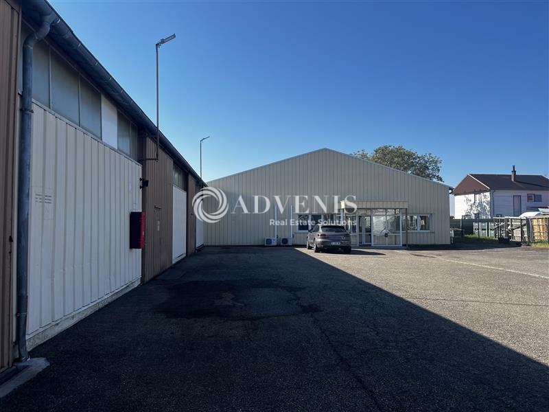 Location Activités Entrepôts DUTTLENHEIM (67120) - Photo 2