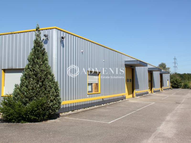 Location Activités Entrepôts GEISPOLSHEIM (67118) - Photo 3