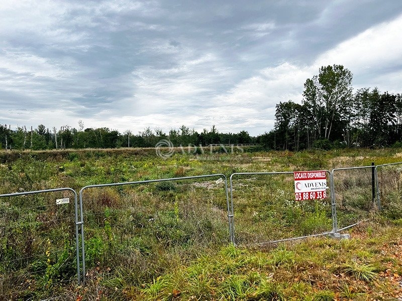 Vente Utilisateur Terrain STEINBOURG (67790) - Photo 1