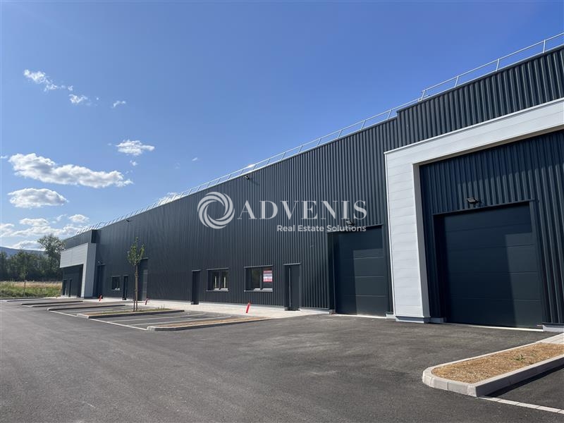 Vente Utilisateur Activités Entrepôts GOXWILLER (67210) - Photo 1