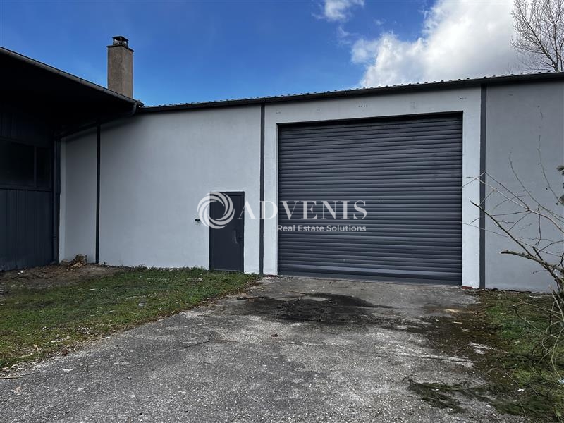 Vente Utilisateur Activités Entrepôts MUNDOLSHEIM (67450) - Photo 7