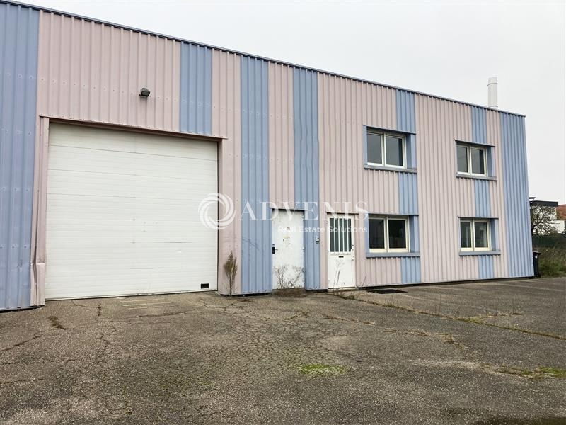 Location Activités Entrepôts TRUCHTERSHEIM (67370) - Photo 1