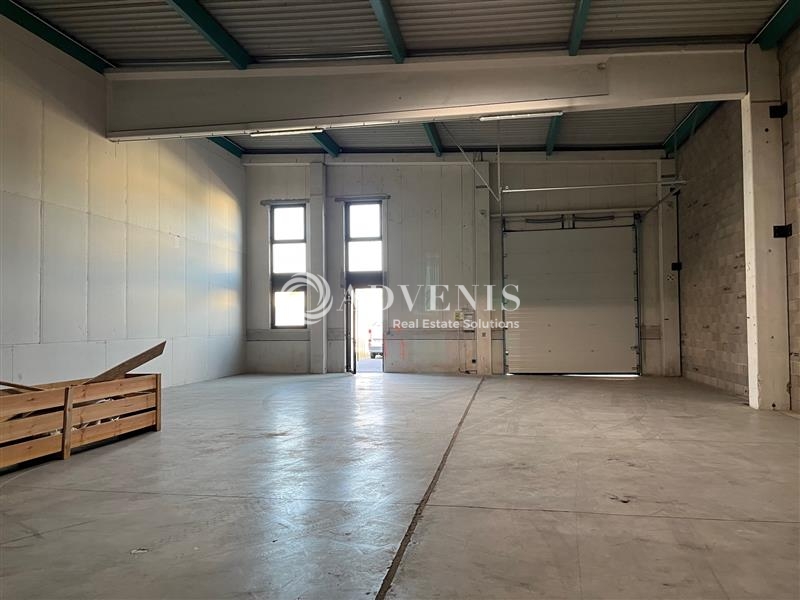 Location Activités Entrepôts GEISPOLSHEIM (67118) - Photo 3