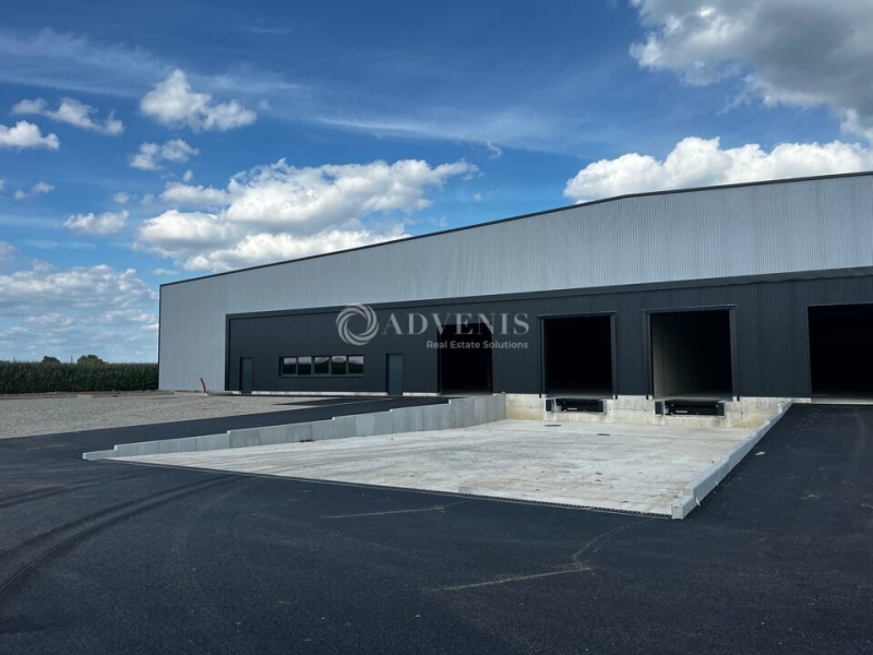 Location Entrepôts FEGERSHEIM (67640) - Photo 2