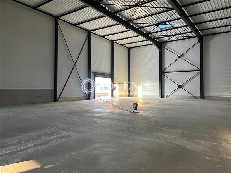 Location Activités Entrepôts SELESTAT (67600) - Photo 6