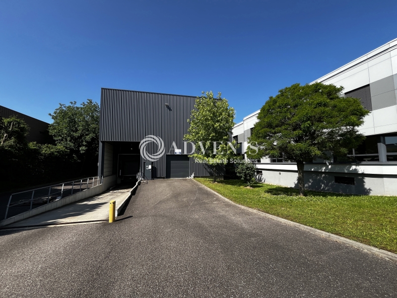 Vente Utilisateur Entrepôts ILLKIRCH GRAFFENSTADEN (67400) - Photo 2