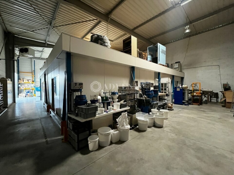 Location Activités Entrepôts ROSHEIM (67560) - Photo 3