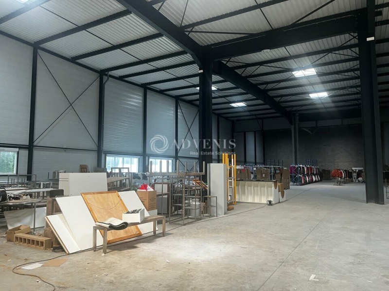 Location Entrepôts ECKBOLSHEIM (67201) - Photo 6