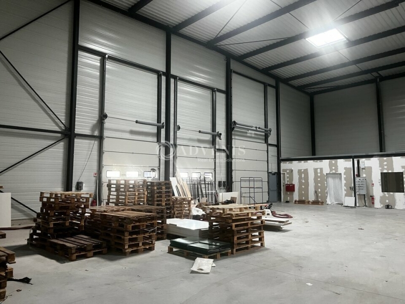 Location Entrepôts ECKBOLSHEIM (67201) - Photo 7