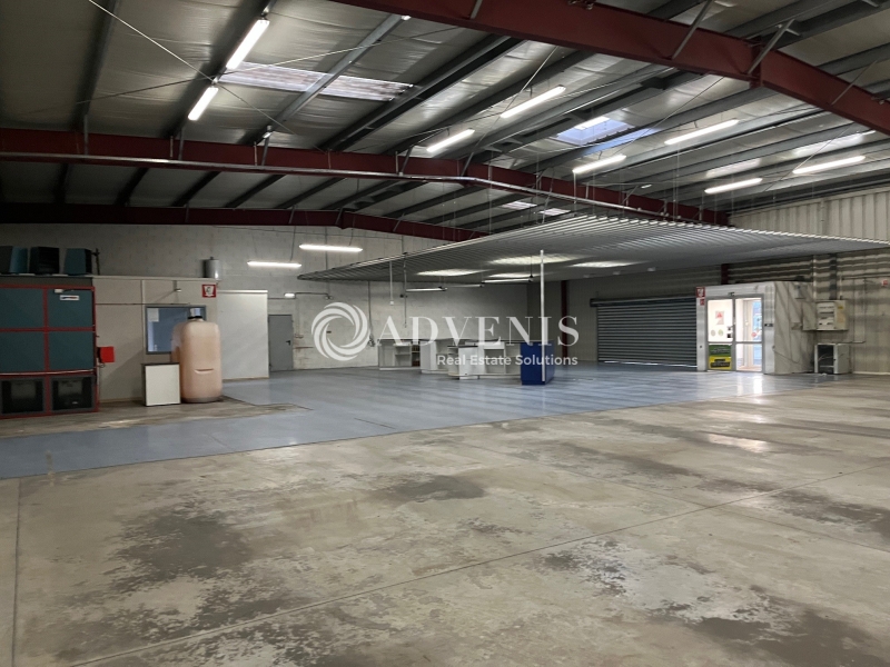 Location Activités Entrepôts SELESTAT (67600) - Photo 4