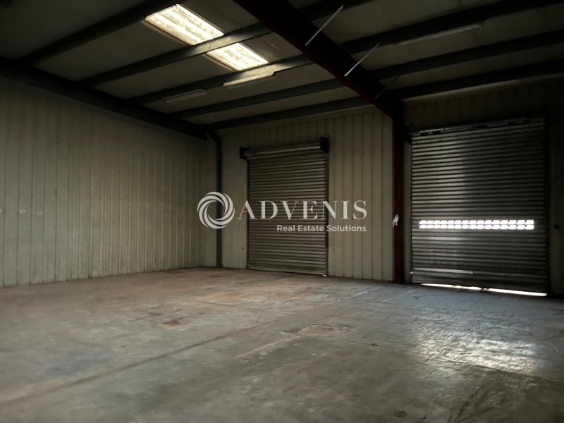 Location Activités Entrepôts SELESTAT (67600) - Photo 8