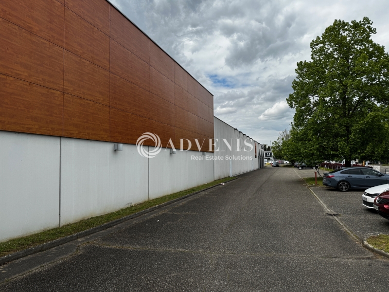 Vente Utilisateur Activités Entrepôts ECKBOLSHEIM (67201) - Photo 4