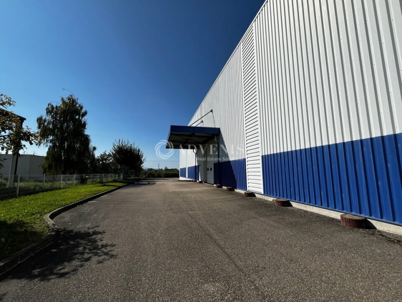 Location Entrepôts OSTWALD (67540) - Photo 2