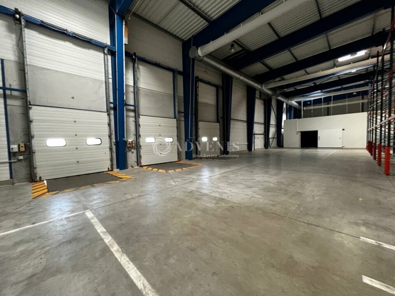 Location Entrepôts OSTWALD (67540) - Photo 4